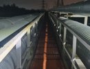 Во Владимире мать с пьяным сыном застряли на высоте из-за любовной драмы