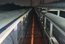 Миниатюра новости: Во Владимире мать с пьяным сыном застряли на высоте из-за любовной драмы