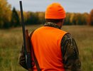Во Владимирской области охотникам заплатят за добычу лис и енотовидных собак