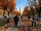 Более 17 тысяч жителей Владимира вышли на большой осенний субботник