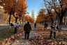 Миниатюра новости: Более 17 тысяч жителей Владимира вышли на большой осенний субботник