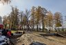 Миниатюра новости: В Муроме открыли первую в области трассу для маунтинбайка