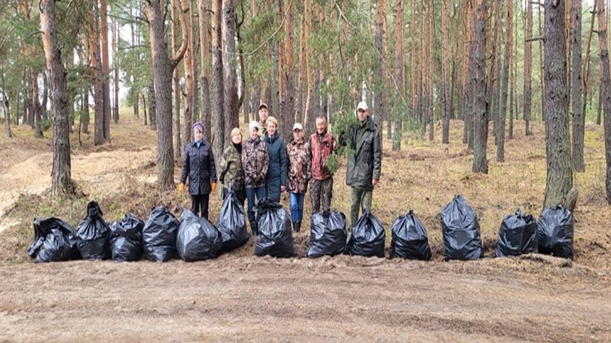 Главная картинка новости: В Петушинском районе лесники очистили Клязьменское урочище от мусора