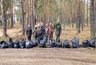 Миниатюра новости: В Петушинском районе лесники очистили Клязьменское урочище от мусора