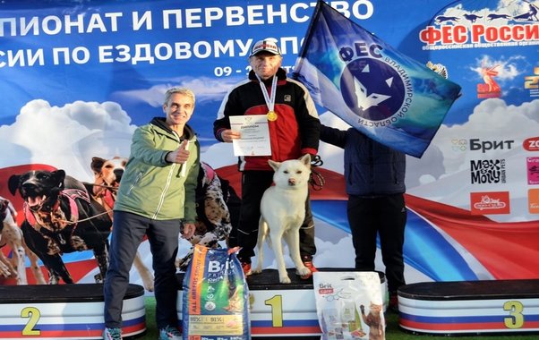 Владимирские каюры взяли 10 медалей чемпионата России по ездовому спорту в Доброграде