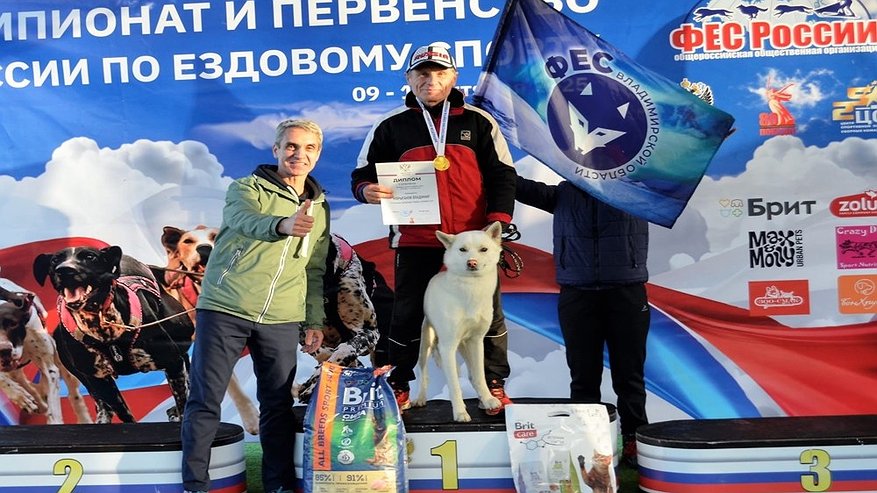 Главная картинка новости: Владимирские каюры взяли 10 медалей чемпионата России по ездовому спорту в Доброграде
