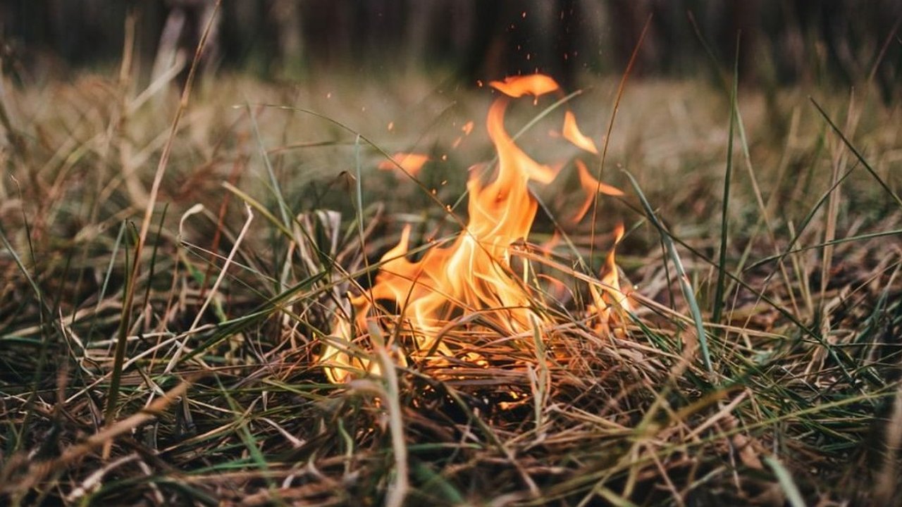 Главная картинка новости: Во Владимирской области подвели итоги пожароопасного сезона 2025 года