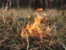 Во Владимирской области подвели итоги пожароопасного сезона 2025 года