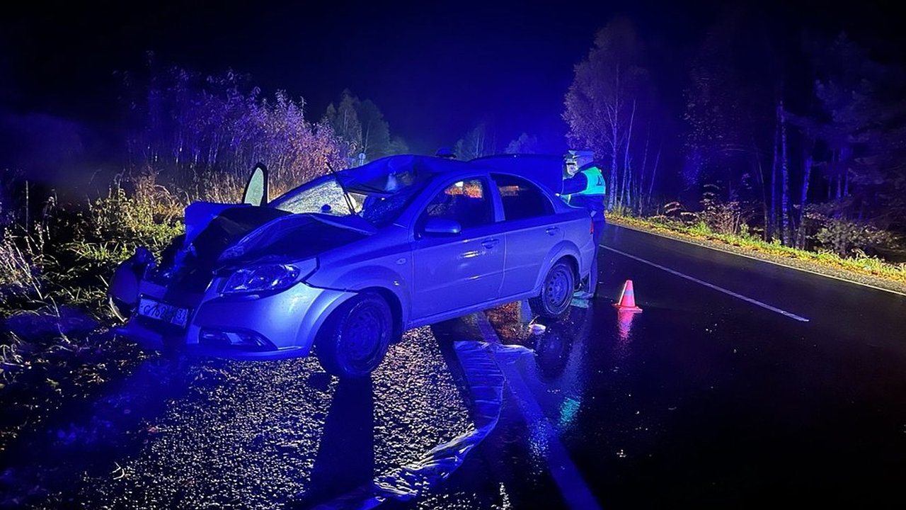 Главная картинка новости: На трассе под Камешковом легковушка насмерть сбила пешехода