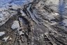 Миниатюра новости: На дороге «Пекша-Ларионово-Караваево» не было стационарного освещения