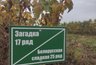 Миниатюра новости: За 12 месяцев суздальский фермер превратил 59 гектаров земли в плантацию черной смородины