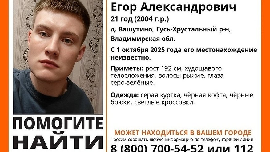 Главная картинка новости: Во Владимирском регионе без вести пропал молодой человек