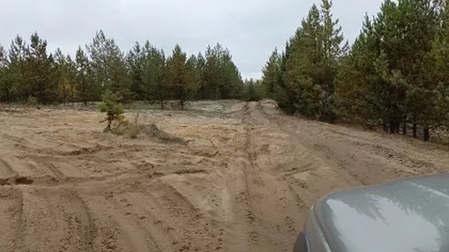 Главная картинка новости: В природном заказнике "Клязьминско-Лухский" констатировали присутствие диких зверей