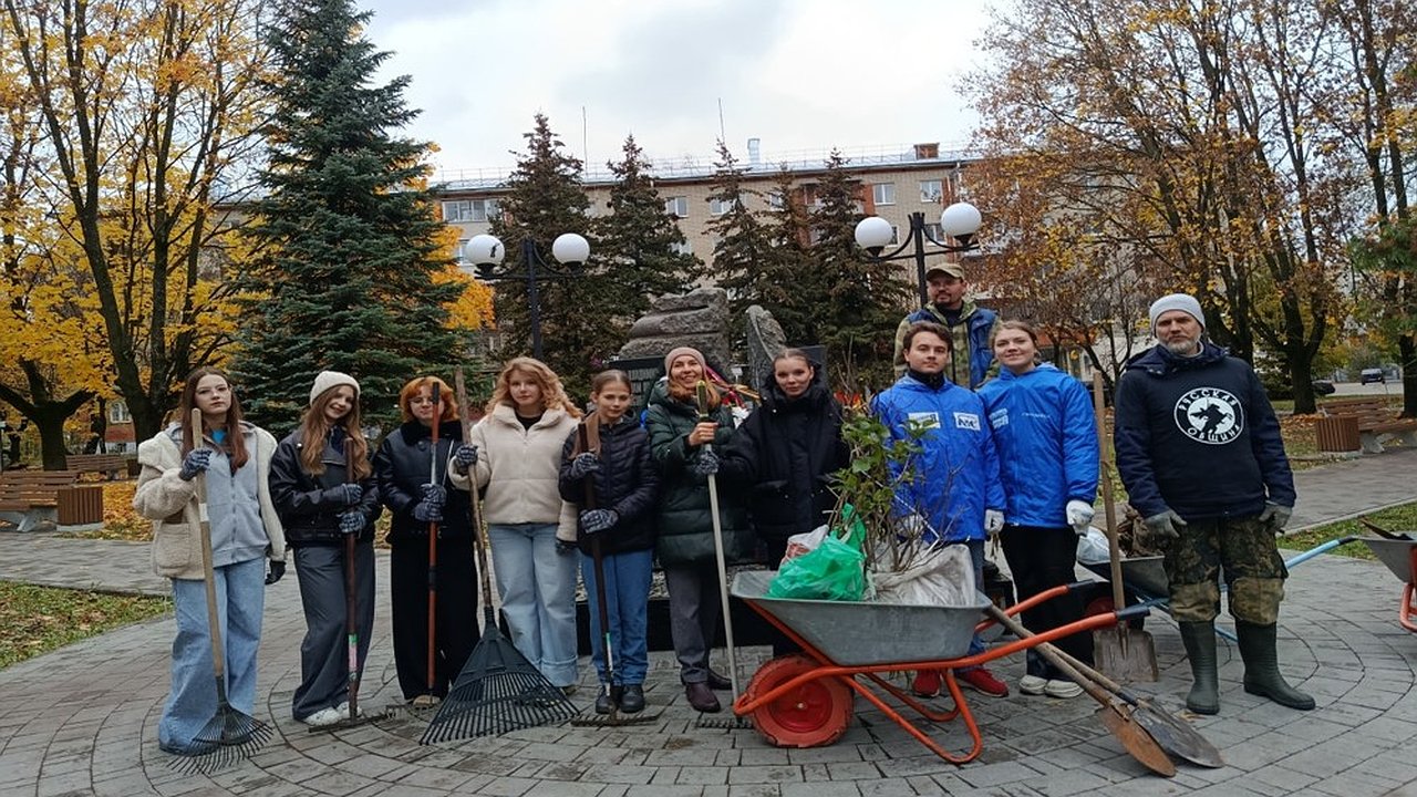 Главная картинка новости: Во Владимире школьники высадили «Сирень Победы» в Зерновском сквере