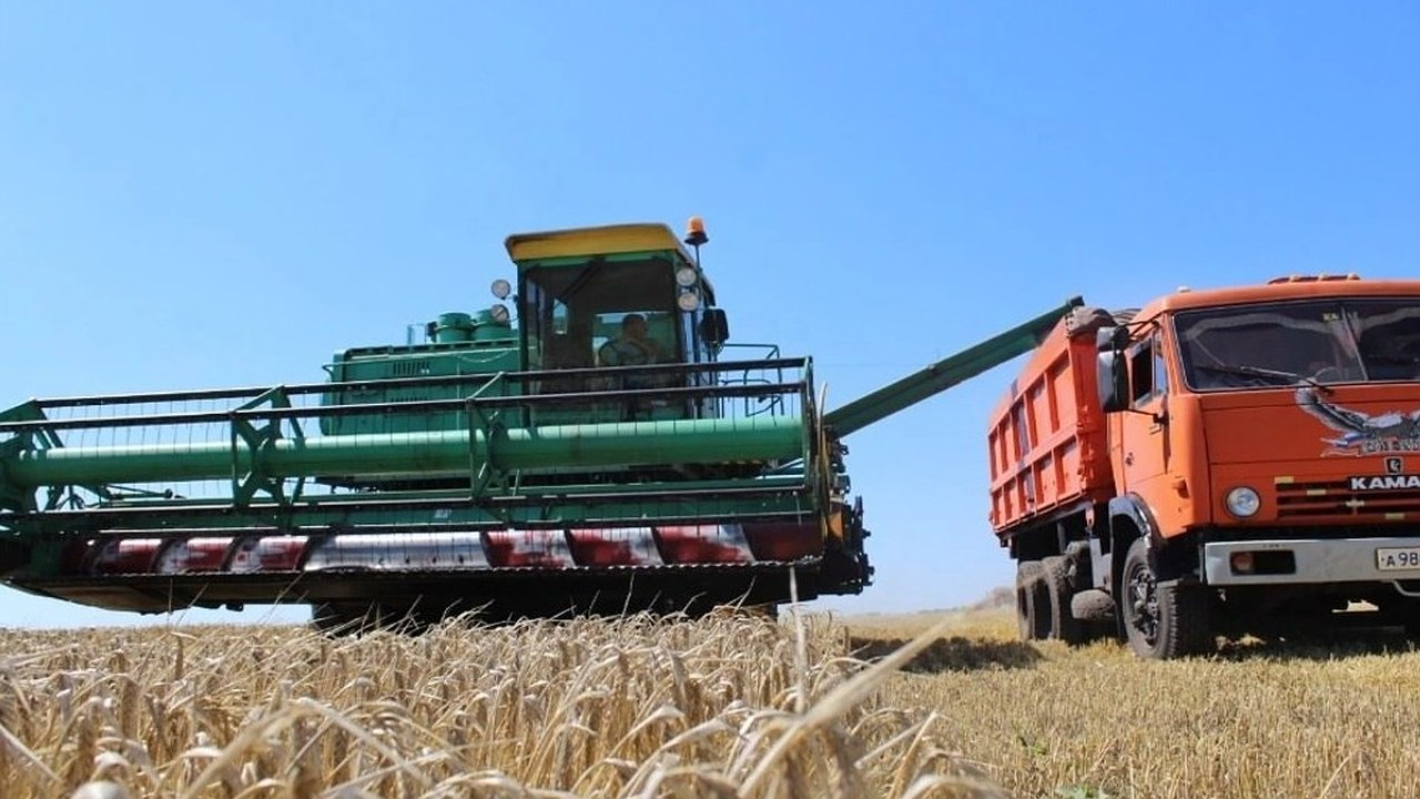Главная картинка новости: Владимирские аграрии завершили уборку зерновых и подвели итоги урожайного сезона
