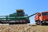 Миниатюра новости: Владимирские аграрии завершили уборку зерновых и подвели итоги урожайного сезона