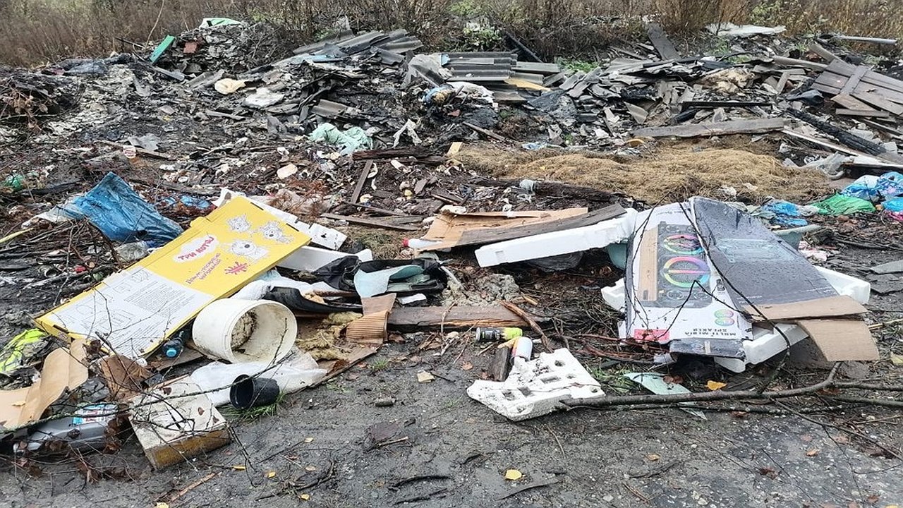 Главная картинка новости: В Селивановском районе выявили пять свалок с бытовым и строительным мусором