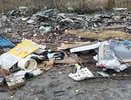 В Селивановском районе выявили пять свалок с бытовым и строительным мусором