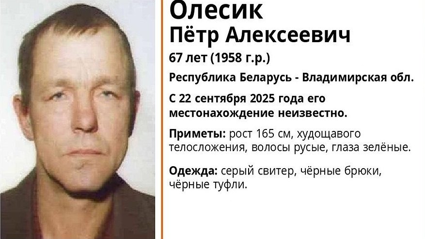 Главная картинка новости: Во Владимирской области разыскивают пропавшего 67-летнего мужчину из Беларуси