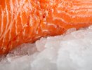 Рыболовы поделились золотой пропорцией: как солить горбушу, чтобы всегда получалось великолепно - безупречный посол