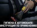 Региональный Роспотребнадзор рассказал о важных правилах поддержания порядка в автомобиле