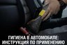 Миниатюра новости: Региональный Роспотребнадзор рассказал о важных правилах поддержания порядка в автомобиле