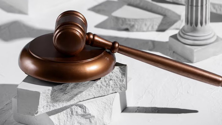 Главная картинка новости: Новгородская компания поплатилась за несанкционированное изъятие земли из Судогодского района