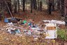 Миниатюра новости: В Меленках прокуратура добивается ликвидации свалки у водоёма «Шампунька»