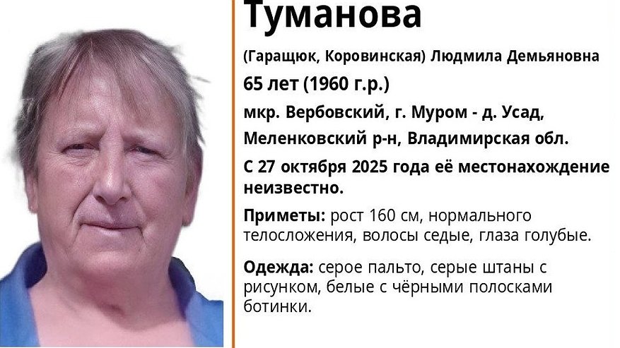Главная картинка новости: В Муроме разыскивают 65-летнюю женщину нуждающуюся в медицинской помощи
