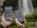 Россияне оценили iPhone цвета «тыквы»