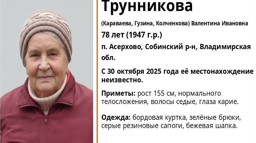 Главная картинка новости: В Собинском районе ищут 78-летнюю женщину нуждающуюся в медицинской помощи
