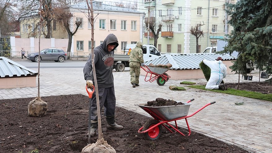 Главная картинка новости: На Большой Московской улице во Владимире грядут изменения ландшафта