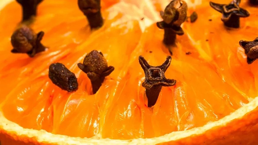 Главная картинка новости: Забудьте про освежители: 7 капель жидкости в обычный стакан воды — и аромат в доме как в саду