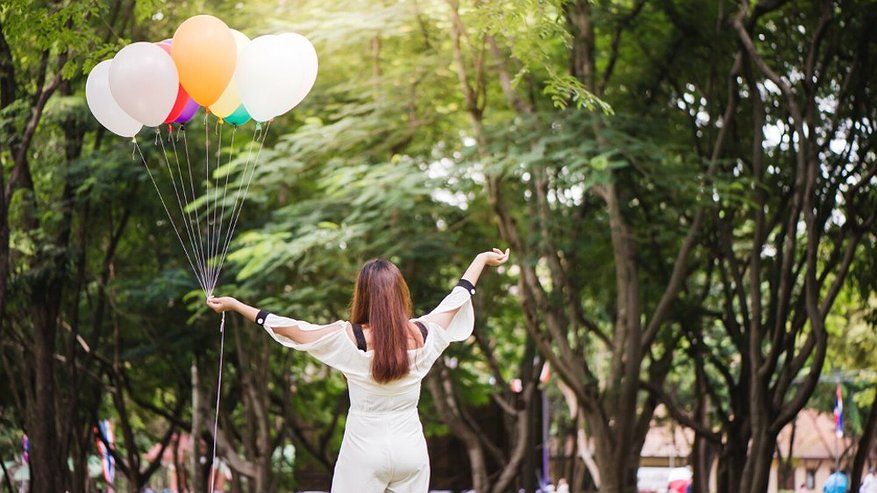 Главная картинка новости: В День народного единства владимирцев ждут концерты и детские развлечения в парках