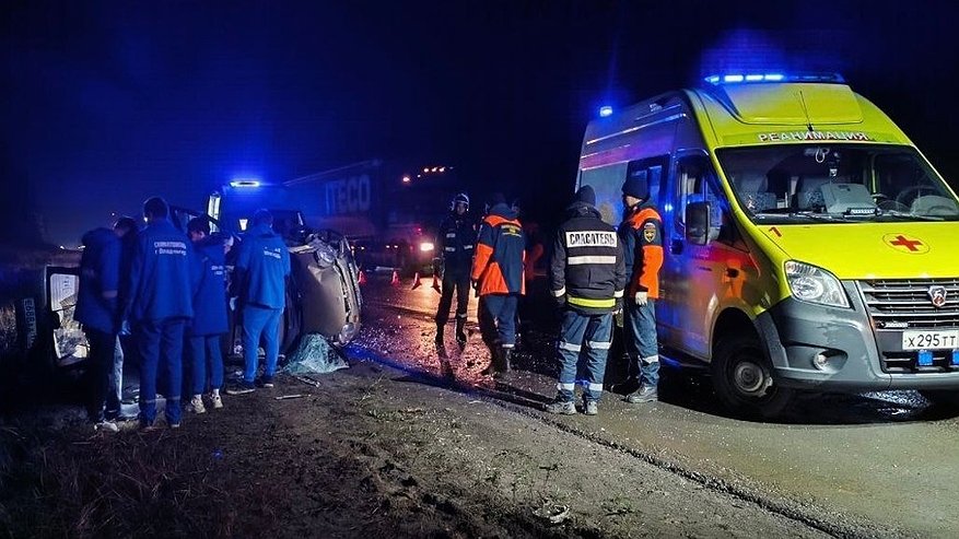 Главная картинка новости: На трассе Владимиром в ДТП с грузовиком и легковушкой пострадали три человека и животные