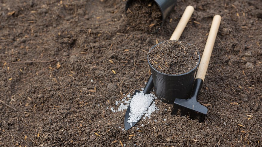 Главная картинка новости: Как правильно удобрять почву осенью: 5 золотых правил