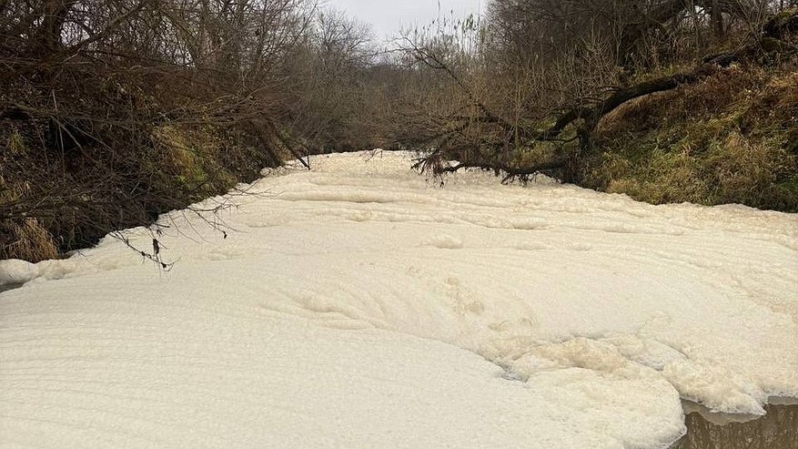 Главная картинка новости: В Петушинском районе проводят инспекции в связи с загрязнением реки Пекша