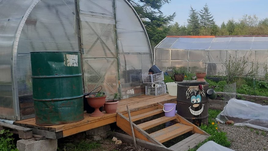 Главная картинка новости: Нужно ли закрывать теплицу на зиму: дачники получили четкий ответ — в многолетнем споре поставлена точка