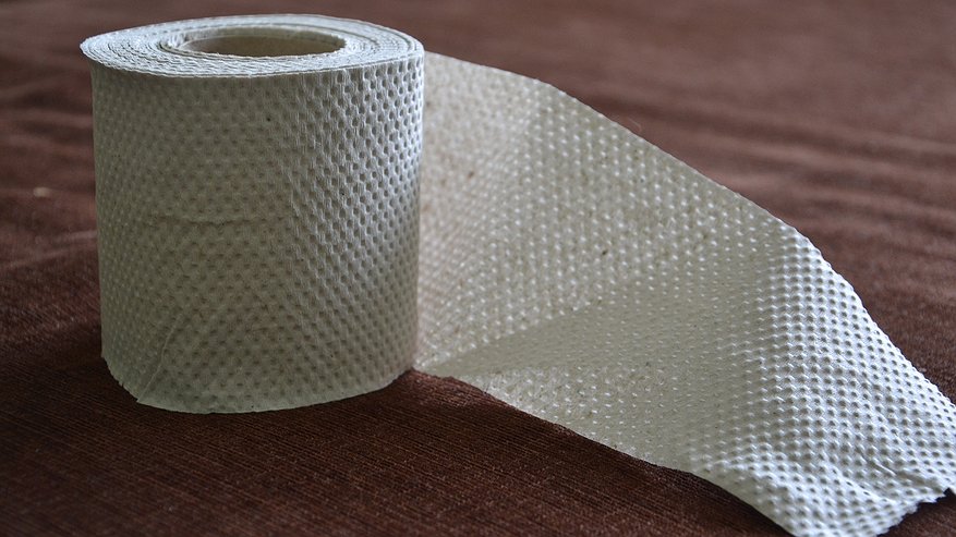 Главная картинка новости: Несу рулон туалетной бумаги к двери и по ногам не дует: полы теперь тёплые, как в бане