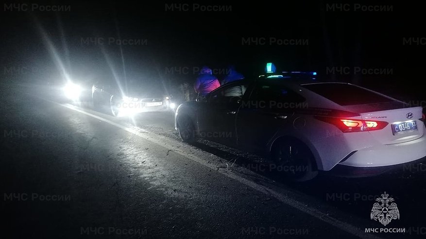 Главная картинка новости: Под Покровом спасатели достали водителя из заблокированного авто после съезда в кювет