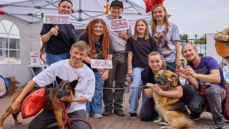 Главная картинка новости: Фестиваль «Рок в защиту животных» объединил музыкантов и волонтёров региона