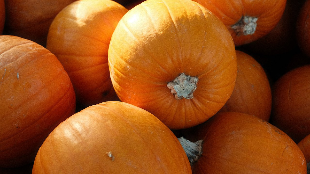 Главная картинка новости: Идеальный осенний десерт - теперь все домашние наслаждаются тыквой. Просто, быстро и очень вкусно