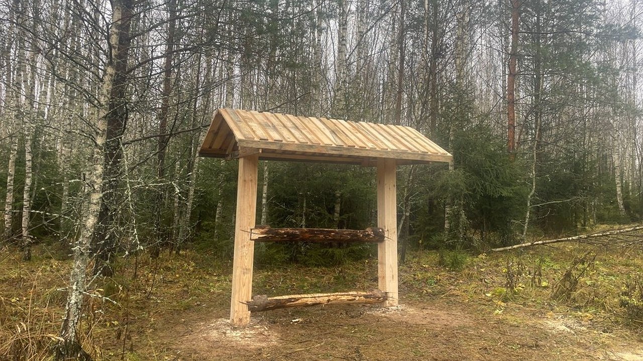 Главная картинка новости: В лесах Владимирской области установили 39 солонцов для диких животных