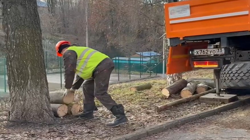 Главная картинка новости: Санитарная обрезка деревьев проходит на одной из центральных улиц Владимира