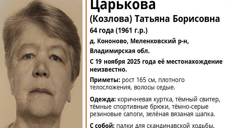 Главная картинка новости: В Меленковском районе пропала 64-летняя женщина с палками для скандинавской ходьбы