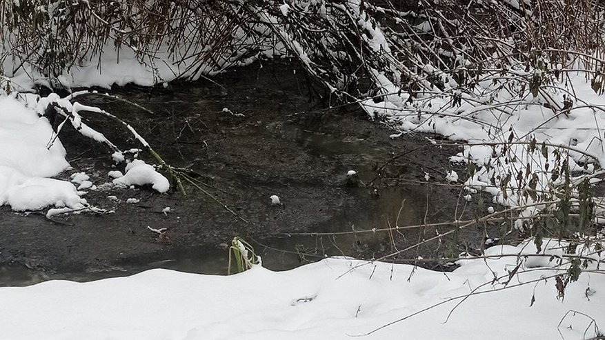 Главная картинка новости: Суд обязал администрацию Судогодского района устранить сброс сточных вод в селе Ликино