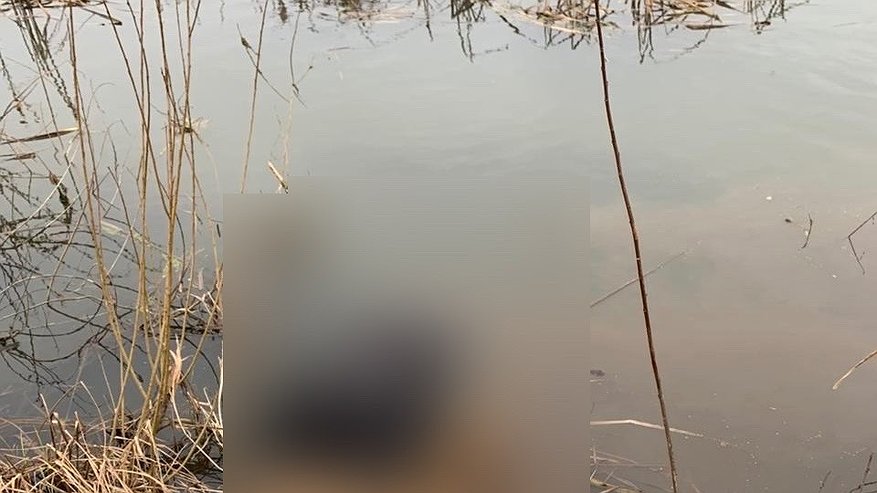 Главная картинка новости: В Собинском муниципальном округе пропавшего рыбака нашли мертвым