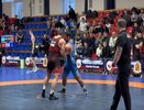 Турнир по греко-римской борьбе памяти Дмитрия Тимофеева прошёл во Владимире