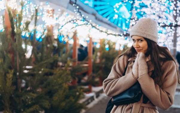 Владимир проведёт первые дни декабря с концертами, душевными встречами и театром