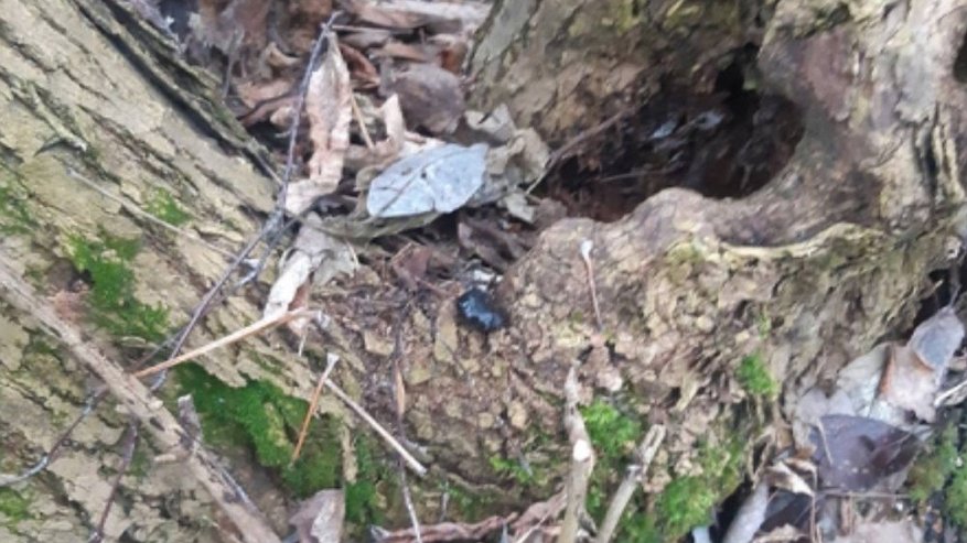 Главная картинка новости: Во Владимире арестовали 17-летнего подростка за попытку сбыта запрещённых веществ